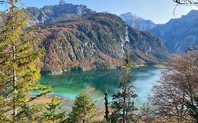 Bergglueck - Gemuetliches Appartement Am Traunsee